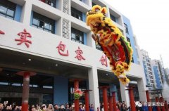 醒狮贺岁，半岛官方网站·半岛在线网站-半岛(中国)2019年开工大吉