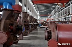 半岛官方网站·半岛在线网站-半岛(中国)被评为2019年度三水区骨干企业